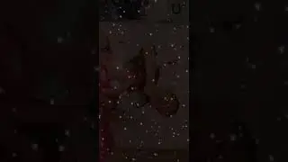Ekspresi bocil bocil 