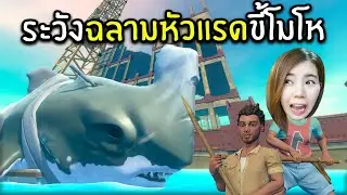 Beware of the Rhino Shark!