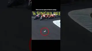 There Are Two Types Of Bird in Motorcycle Racing