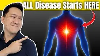 The True Root Cause of All Chronic Disorders