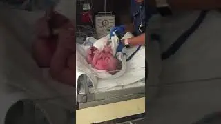 Xander has arrived! 10/19/17