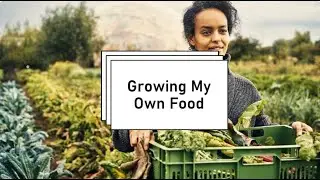 Urban Farming: My Journey to Combat Rising Food Costs & Falling Quality