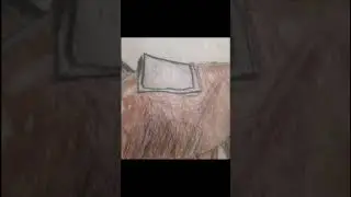 drawing of a horse