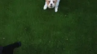 EVIE's Exercise Tape - Drone Motivation