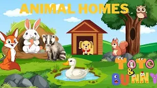 Animal Homes| Animal Homes Names in English| Kids Vocabulary 