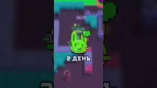 Слив Новой Недели Подарков😱👀 