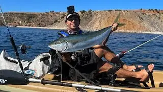 I Caught A Kingfish Off My Kayak!?! (Incredible footage)