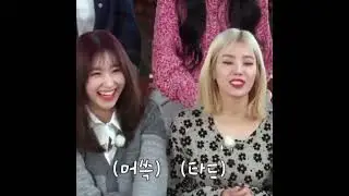 Kpop girl group tickling collection(Loona/snsd/izone/afterschool/blackpink/fromis9/purplek!ss/stayc)