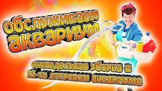 Чистим аквариум! - Еженедельная подмена воды и уборка в аквариуме.