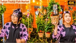 Walking Tour Tsukiji Outer Market Tokyo Japan Street Food #4k  #walkingtour