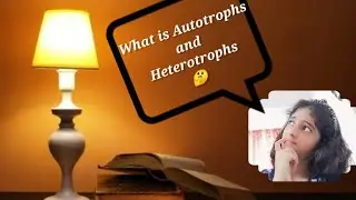 What is Autotrophic and Heterotrophic?