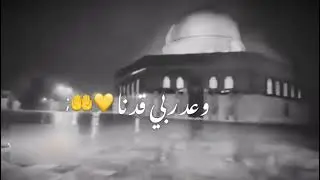 دعواتكم لاخواننا بفلسطين 🤲🤍