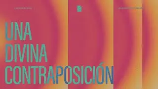 IBR Miami | Una Divina Contraposicion