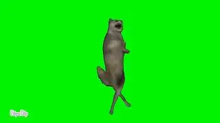 Wolf dance meme