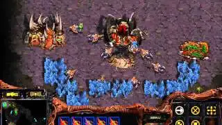 StarCraft Brood War [FPVOD] Notforu vod 24 01 08