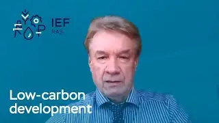 Drivers for low carbon development of Russian real sector