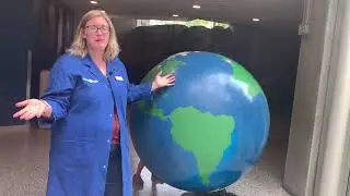 Why should we care about the Amazon Fires?