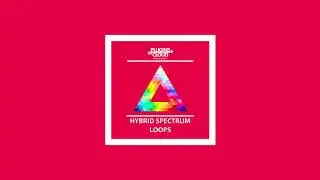 24 bit Hybrid Spectrum Drum Loops by PlugInsCloud (short demo with kick)