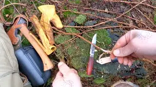 Bushcraft: How to harvest spruce roots and prepare for crafts