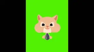 Green Screen Video copyright free