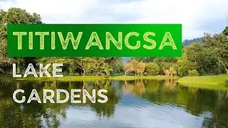 Train Ride to the Titiwangsa Lake Gardens and  Walkabout Peacock Gardens