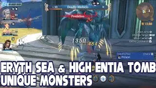 All Eryth Sea and High Entia Tomb Unique Monsters & Locations - Xenoblade Chronicles DE