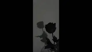 PPN!NE - เพียงเธอ (official audio)