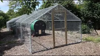 Walk In Chicken Runs: The Best Quality & Value We Know
