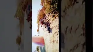 КРАКЕН !!!