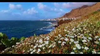 Beethoven Piano Concerto No. 3  Musique de relaxation d'étude et de concentration