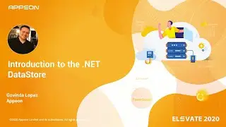Introduction to the  NET DataStore