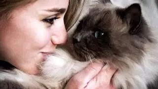 7 SIGNES QUI PROUVENT QUE VOTRE CHAT VOUS AIME