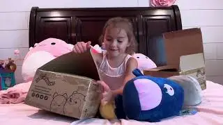 Unpacking Squishmallows - 2 boxes