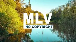 Saxohouse Music: Feel It - Mbb Jv Saxx (No Copyright Music)