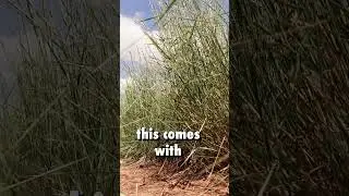 How to save irrigation water