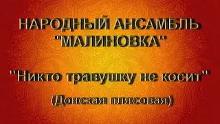 Народный ансамбль Малиновка - Никто травушку не косит (донская плясовая)