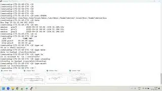 Advance-Linux-Day-4 || How shell works || Linux Filesystem || Types of Files || Linux commands