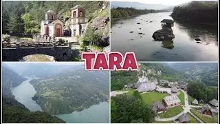 TARA nacionalni park Serbia 🇷🇸
