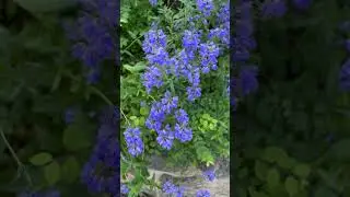 Стих: хочется сказать, спасибо