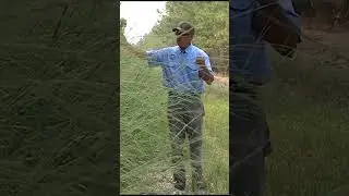 Great Anti Poaching Tip from NWTF Member! 