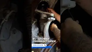 Ремонт амортизатора AUDI A8 / Ауди а8