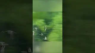 Красивые виражи