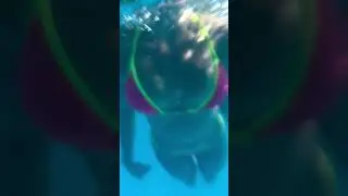 Angel Poli swimming