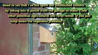 Blue Tit Tenancy, landlord still allowed garage access.