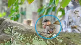 DON’T LEAVE ME ALONE MUMMY…DEEP SCARE AND EMOTIONAL SAD || WHY MUM MARRIA CARELESS TO BABY MARIEL?