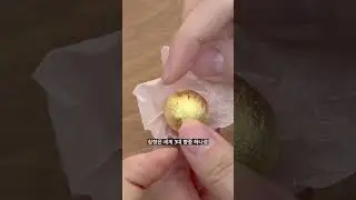 한약사 부부의 하루 한 알 장수 비결✨ #한약사 #녹용 #침향