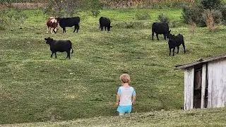Calves Are Growing