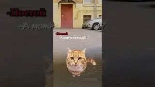 Не бросайте животных на улице🥹 #животные #котики #меллстройдвиж