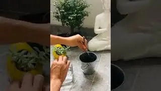 Timarai Ropa Ecológica