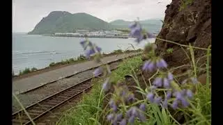 село Чехов Сахалинская область / чехов сахалин